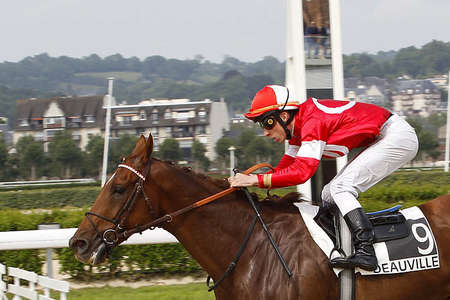 Actualités Hippiques